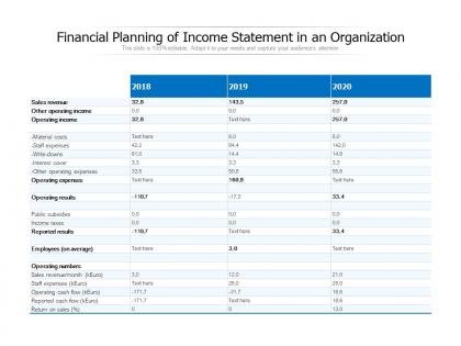Financial planning of income statement in an organization