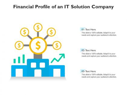 Financial profile of an it solution company