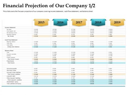 Financial projection of our company 2015 to 2019 years ppt powerpoint deck