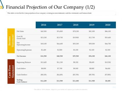 Financial projection of our company flow ppt file elements