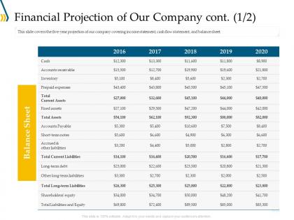 Financial projection of our company sheet ppt infographics