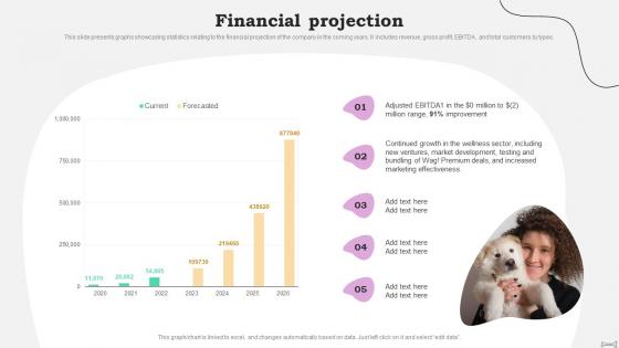 Financial Projection Wag Investor Funding Elevator Pitch Deck