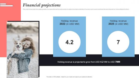Financial Projections Holidog Investor Funding Elevator Pitch Deck
