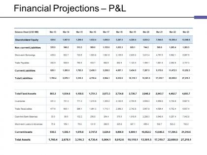 Financial projections p and l ppt files