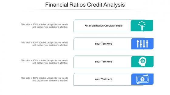 Financial Ratios Credit Analysis Ppt Powerpoint Presentation Infographics Slides Cpb
