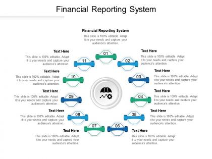 Financial reporting system ppt powerpoint presentation portfolio summary cpb