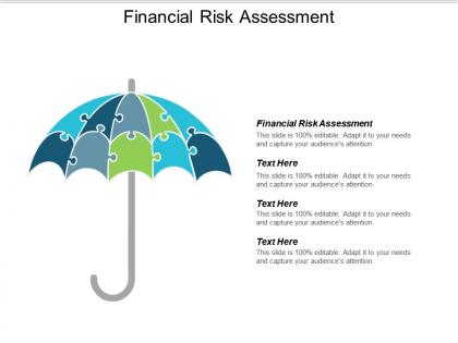 Financial risk assessment ppt powerpoint presentation icon portfolio cpb