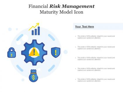Financial risk management maturity model icon