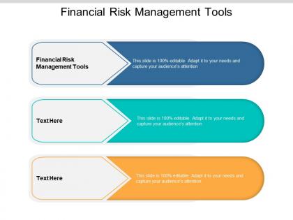 Financial risk management tools ppt powerpoint presentation slides structure cpb