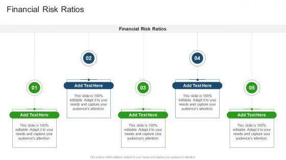 Financial Risk Ratios In Powerpoint And Google Slides Cpb