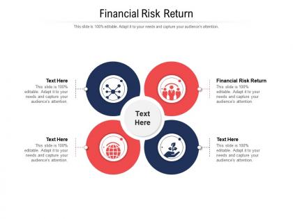 Financial risk return ppt powerpoint presentation infographic template example file cpb