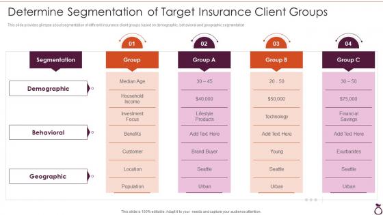 Financial Services Consultancy Determine Segmentation Of Target Insurance Client Groups