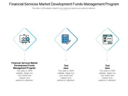 Financial services market development funds management program ppt powerpoint presentation model cpb
