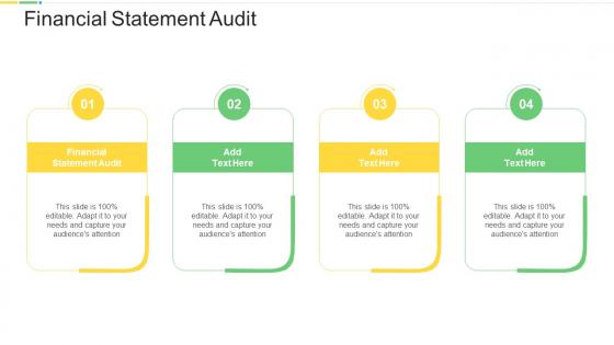 Financial Statement Audit In Powerpoint And Google Slides Cpb