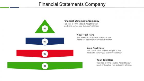 Financial Statements Company Ppt Powerpoint Presentation Visual Aids Example File Cpb
