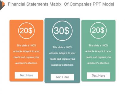 Financial statements matrix of companies ppt model