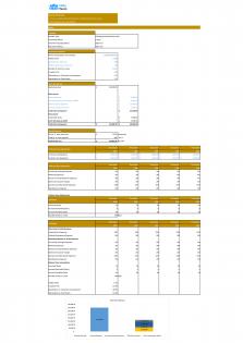 Financial Statements Modeling And Valuation For Clothing Boutique Business Plan In Excel BP XL