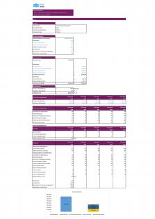 Financial Statements Modeling And Valuation For Fashion Boutique Business Plan In Excel BP XL