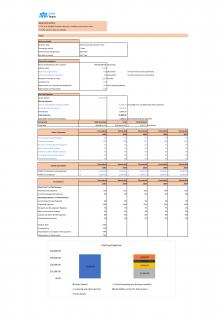 Financial Statements Modeling And Valuation For Natural Cosmetics Business Plan In Excel BP XL