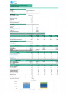 Financial Statements Modeling And Valuation For On Demand Laundry Business Plan In Excel BP XL