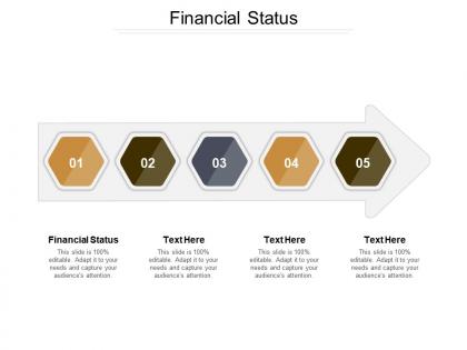 Financial status ppt powerpoint presentation gallery designs download cpb