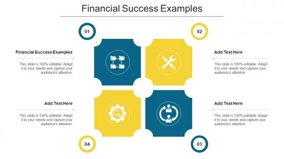 Financial Success Examples Ppt Powerpoint Presentation Gallery Pictures Cpb