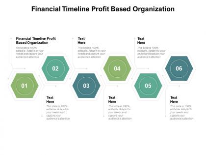 Financial timeline profit based organization ppt powerpoint presentation show cpb
