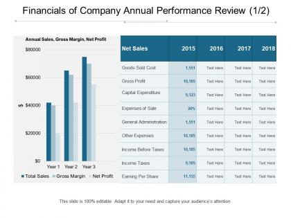 Financials of company annual performance review 1 2