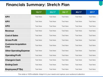 Financials summary stretch plan ppt powerpoint presentation pictures show