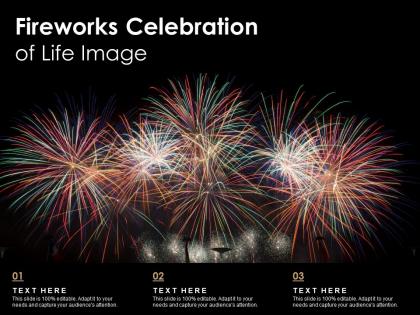 Fireworks celebration of life image