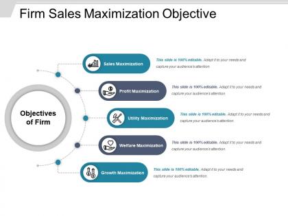 Firm sales maximization objective example of ppt