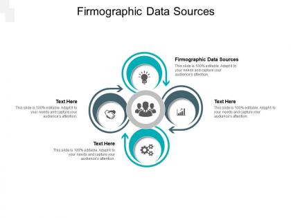Firmographic data sources ppt powerpoint presentation file ideas cpb