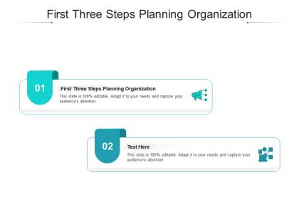First three steps planning organization ppt powerpoint presentation ideas brochure cpb