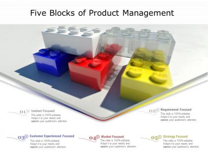 Five blocks of product management