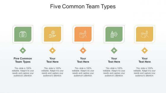 Five Common Team Types Ppt Powerpoint Presentation Summary Show Cpb