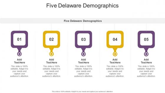 Five Delaware Demographics In Powerpoint And Google Slides Cpb