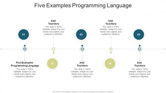 Five Examples Programming Language In Powerpoint And Google Slides Cpb