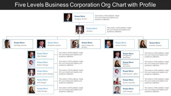 Five levels business corporation org chart with profile