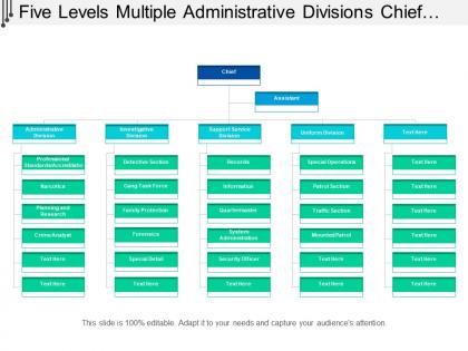 Five levels multiple administrative divisions chief org chart