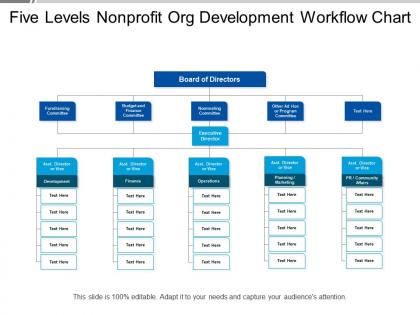 Five levels nonprofit org development workflow chart