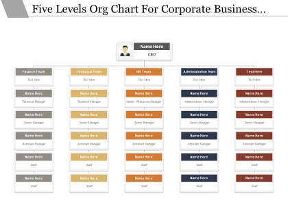 Five levels org chart for corporate business functions