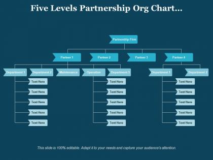 Five levels partnership org chart maintenance operations departments