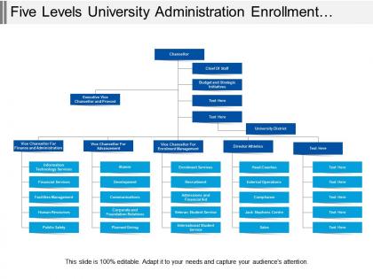 Five levels university administration enrollment services org chart