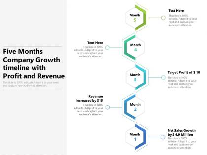 Five months company growth timeline with profit and revenue