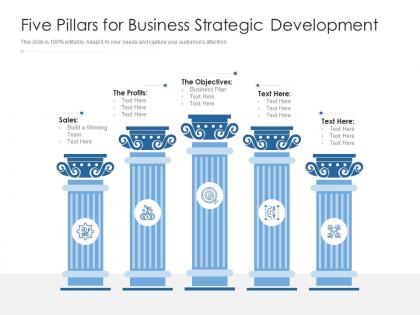 Five pillars for business strategic development