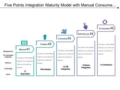 Five points integration maturity model with manual consume and ecosystem