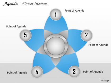 Five staged flower diagram for agenda display 0214