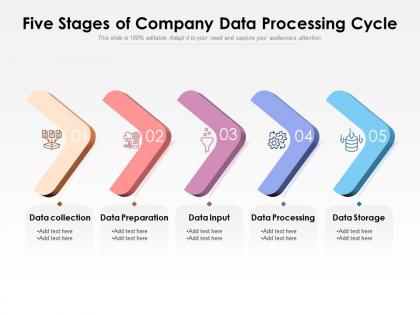 Five stages of company data processing cycle