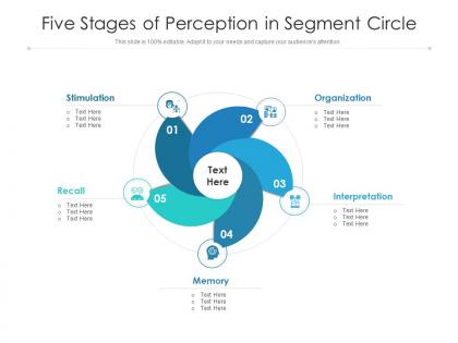 Five stages of perception in segment circle