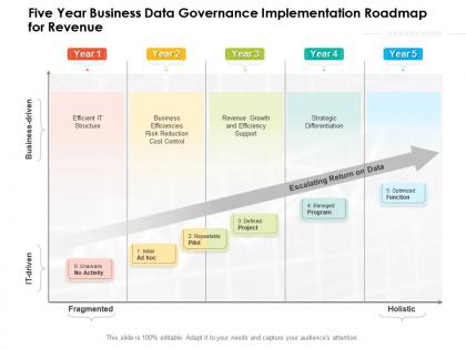 Five year business data governance implementation roadmap for revenue
